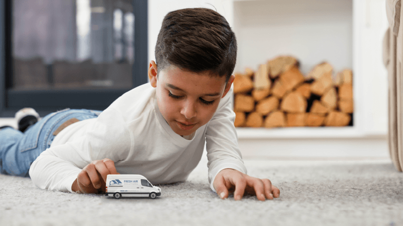 Chocolate Stains & Odors from Carpet